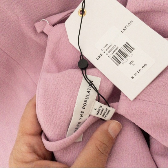 NEW Anthropologie Dress The Population Rory Side-Fringe Midi Dress Pink Rose - Picture 9 of 16